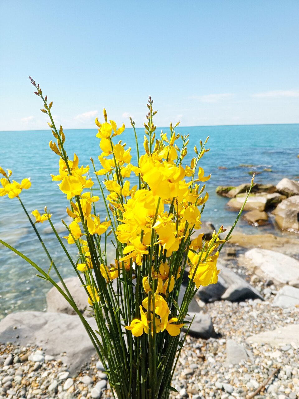 Гостиница Гермес Сочи-56