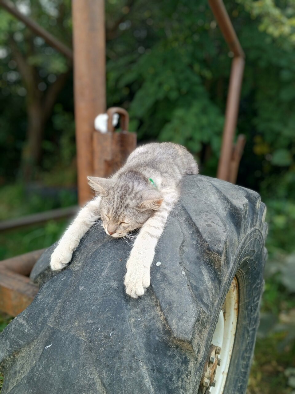 Гостиница Гермес Сочи-138