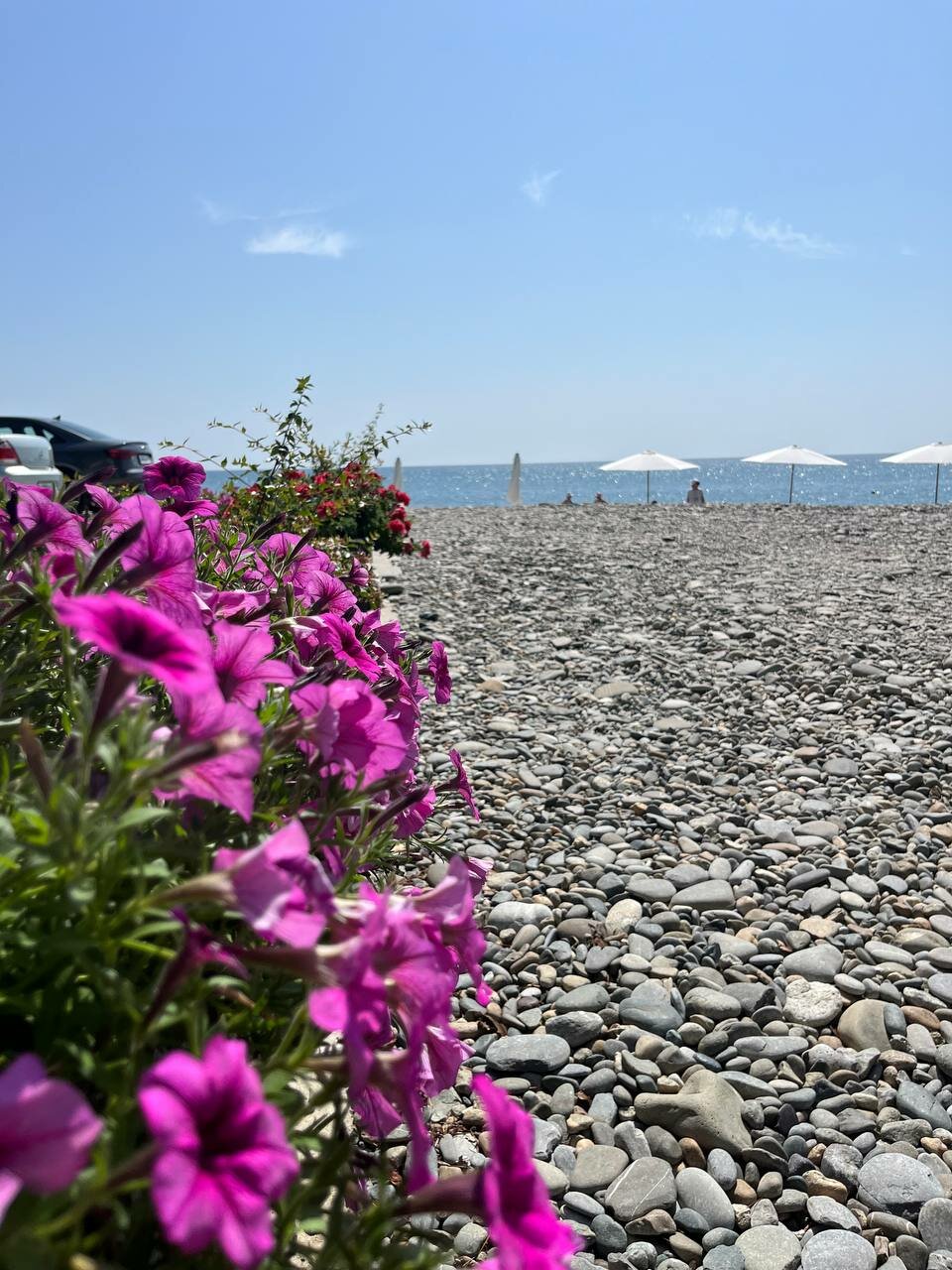 Гостиница Гермес Сочи-147