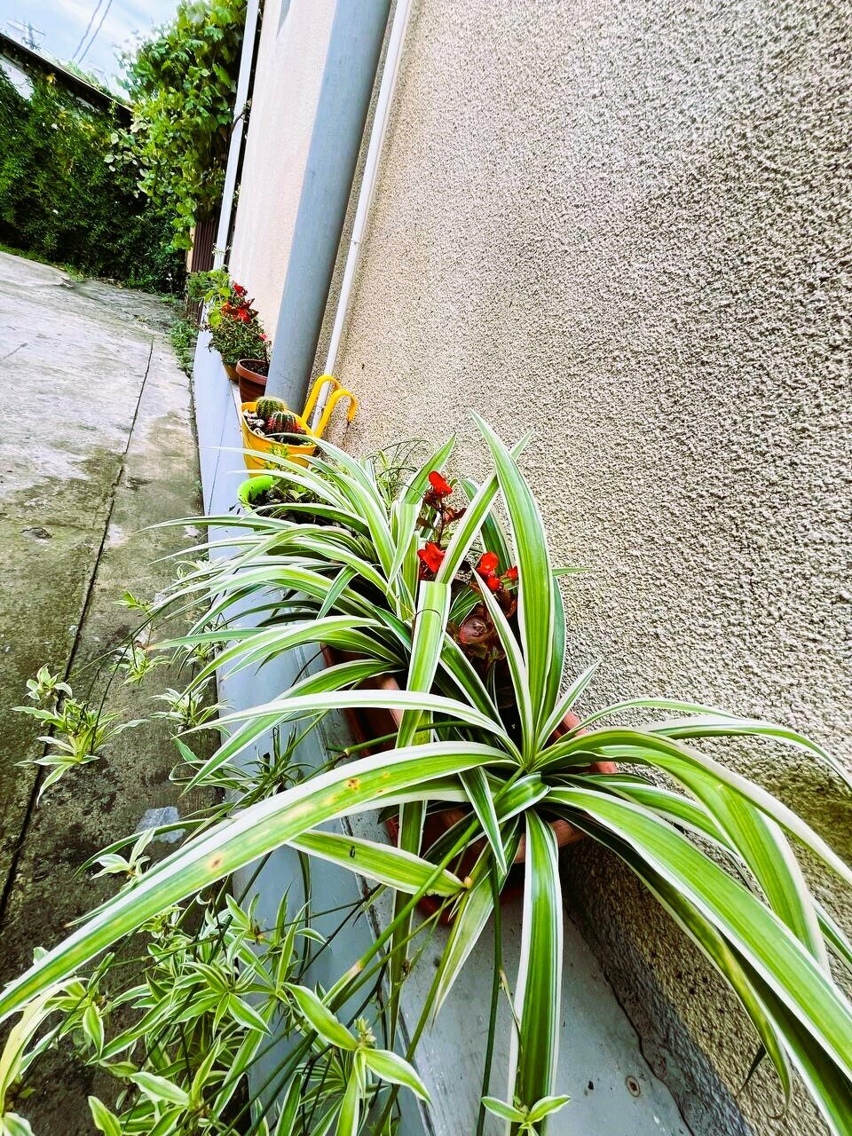 Гостиница Гермес Сочи-48