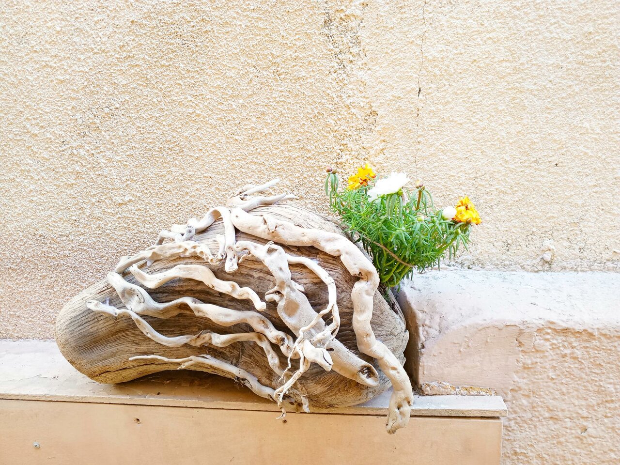 Гостиница Гермес Сочи-41