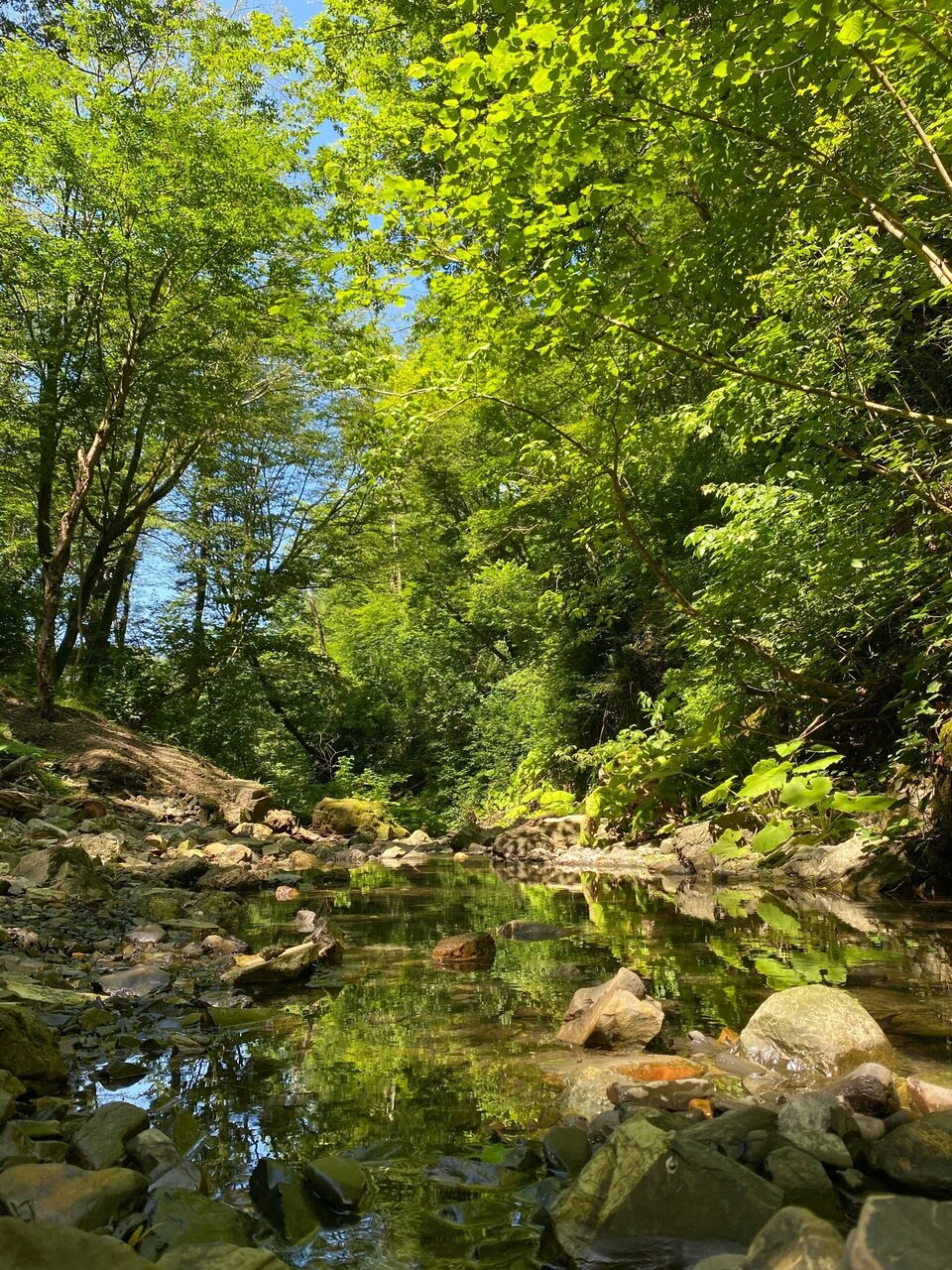 Гостиница Гермес Сочи-134