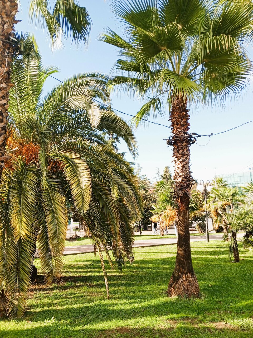 Гостиница Гермес Сочи-21