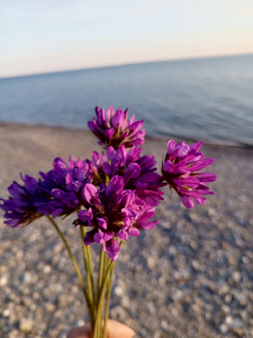 Гостиница Гермес Сочи