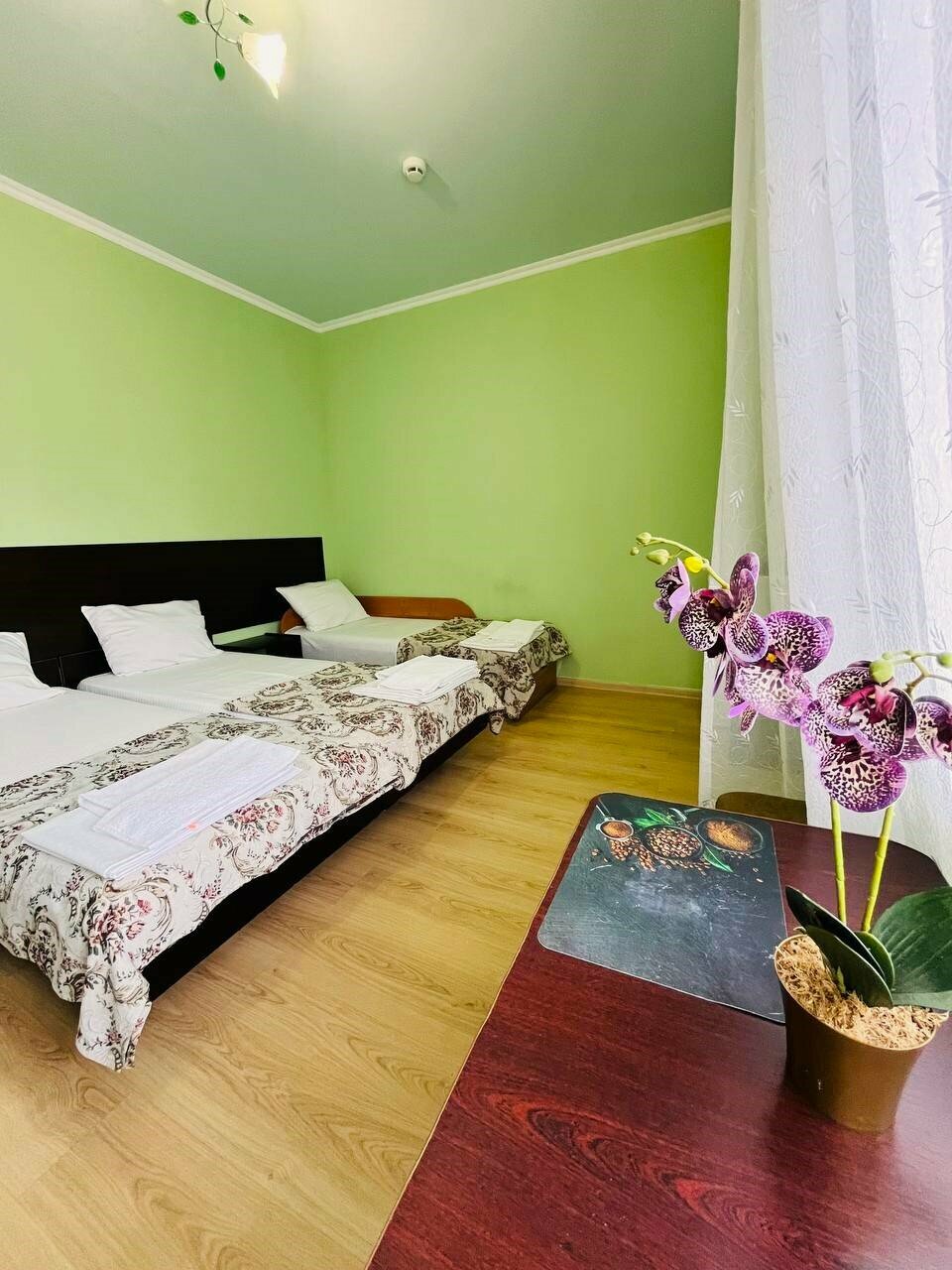 Гостиница Гермес Сочи-43