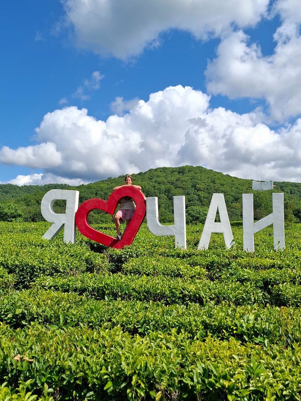 Гостиница Гермес Сочи-132