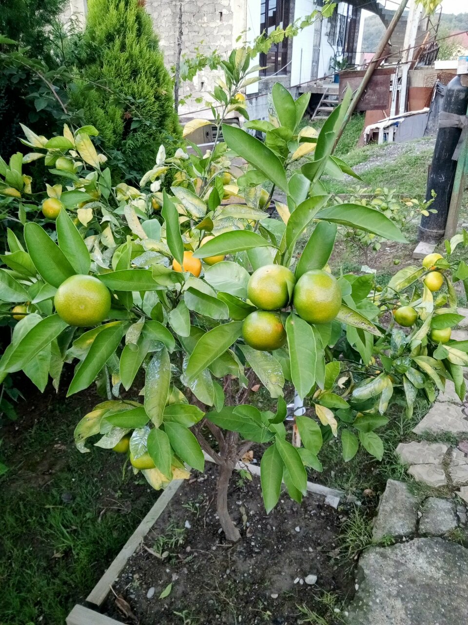 Гостиница Гермес Сочи-135