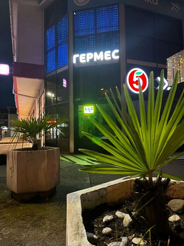 Гостиница Гермес Сочи-121