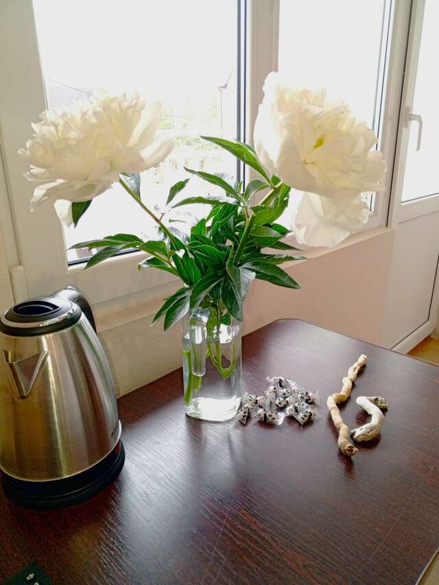 Гостиница Гермес Сочи-52