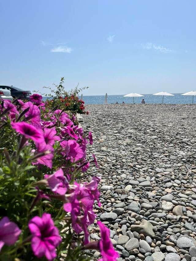 Гостиница Гермес Сочи-146