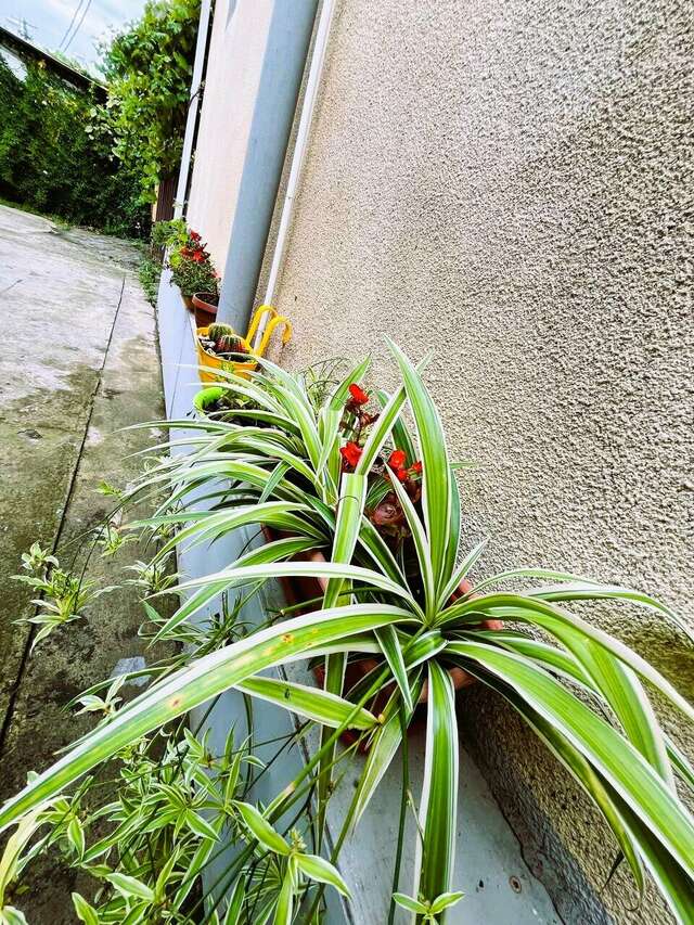 Гостиница Гермес Сочи-47