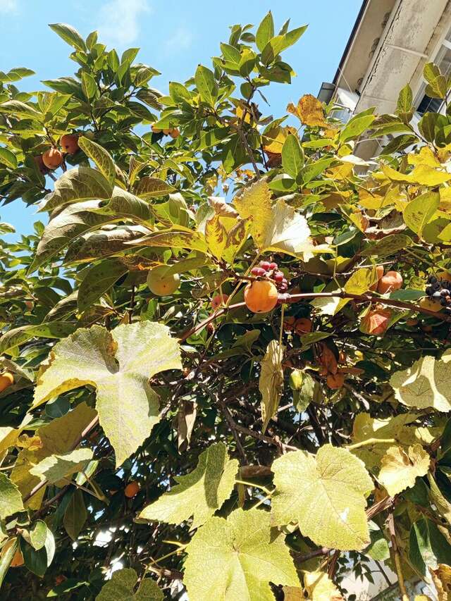 Гостиница Гермес Сочи-139