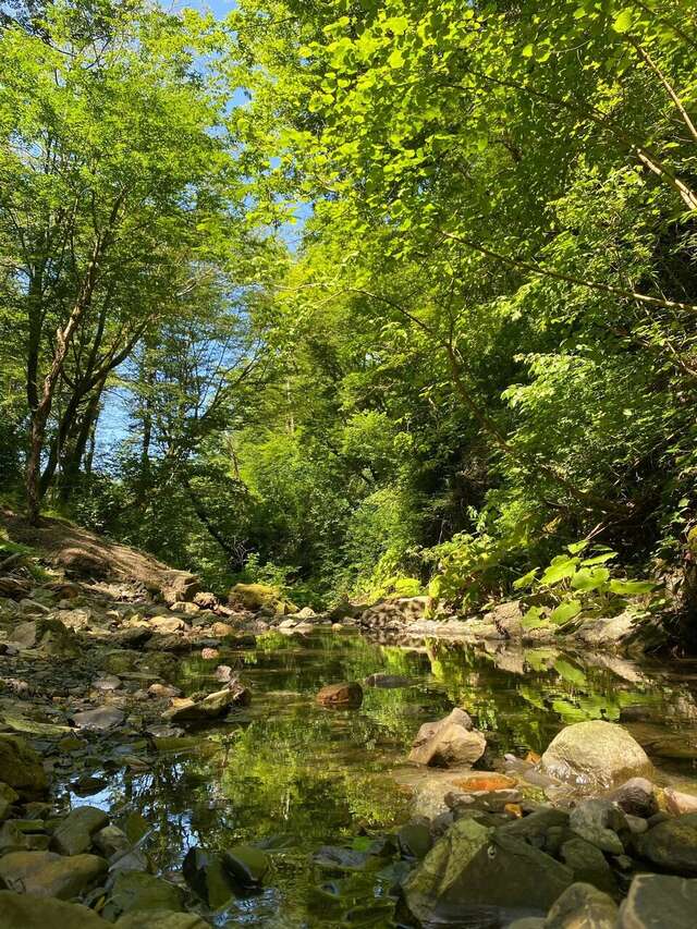 Гостиница Гермес Сочи-133