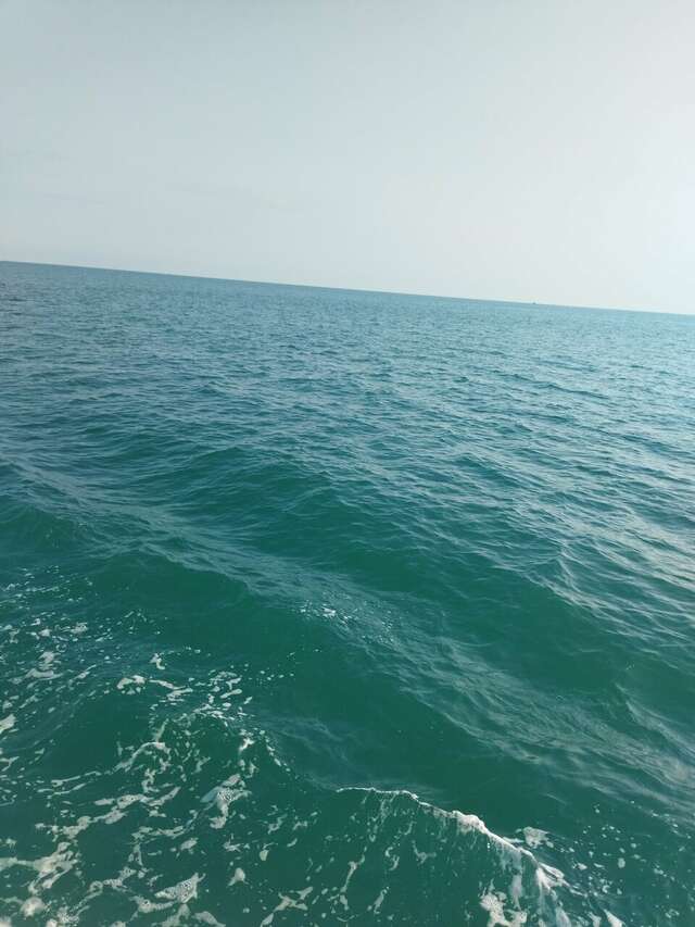 Гостиница Гермес Сочи-141