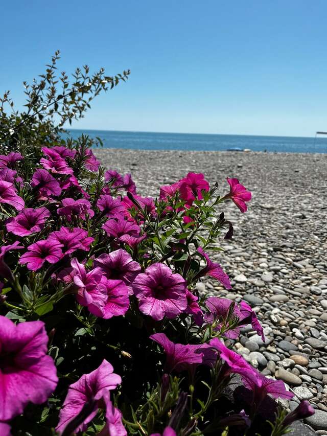 Гостиница Гермес Сочи-117