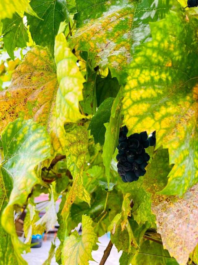 Гостиница Гермес Сочи-87