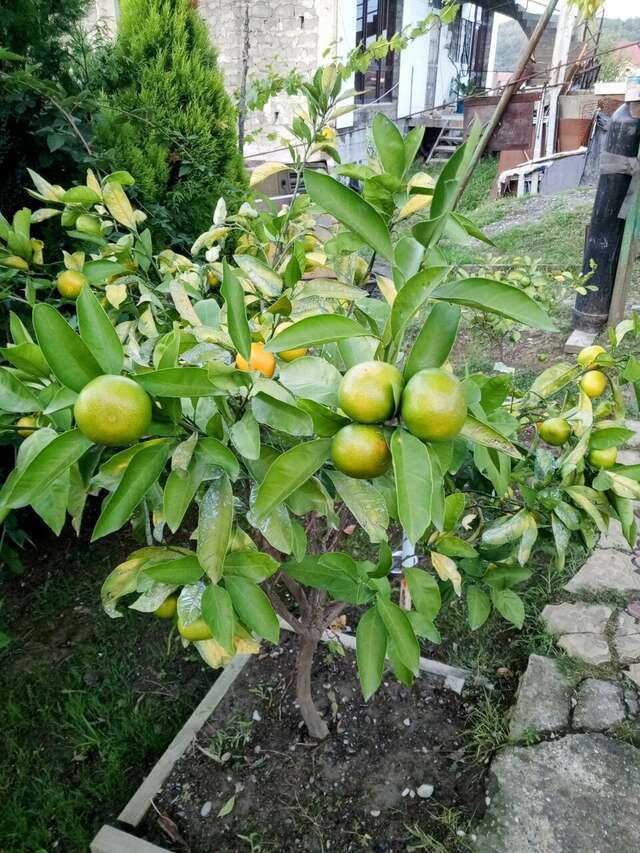 Гостиница Гермес Сочи-134